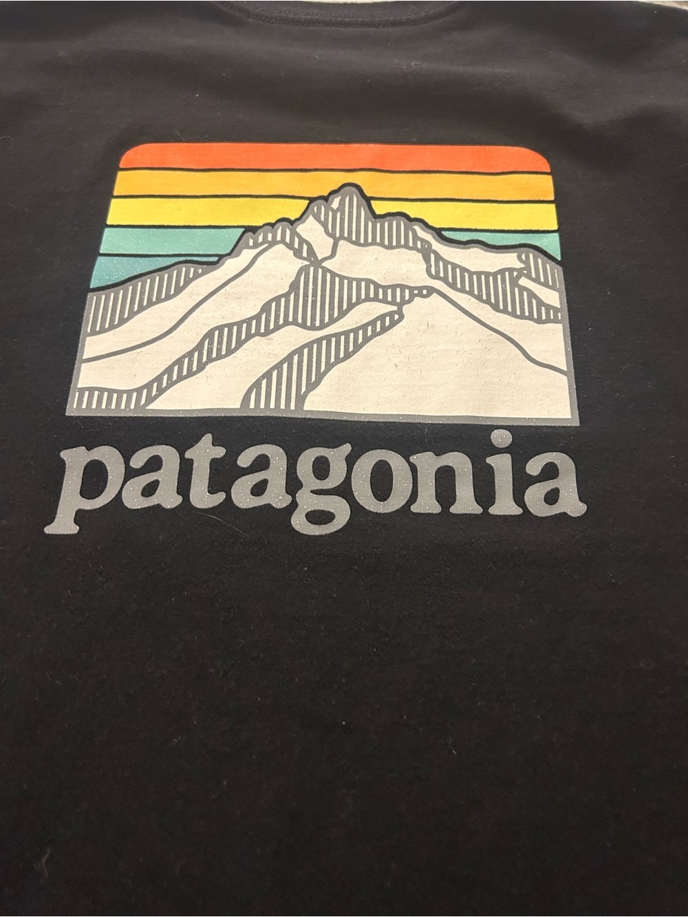 Patagonia Black Crewneck with Retro Sunrise Mountain Graphic sizr large